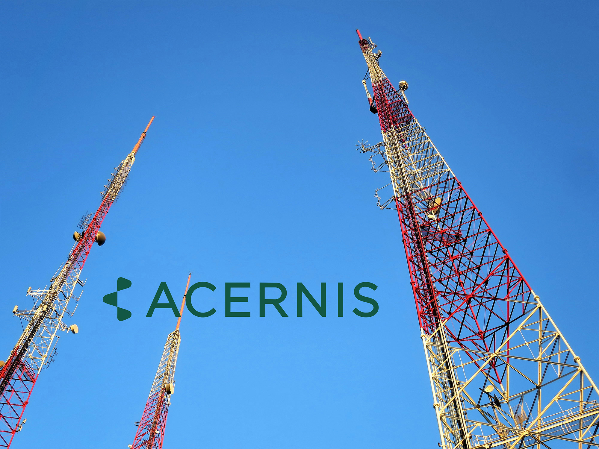 Acernis case study